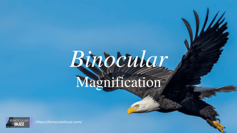 Understanding Binocular Magnification: A Practical Guide [2024]