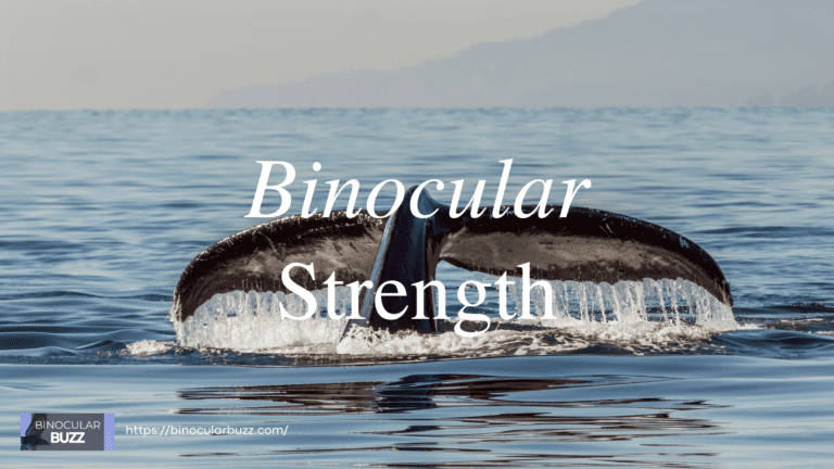 Best Binocular Strength for You: A Practical Guide [2024]