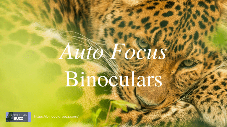 Auto Focus Binoculars: A Practical Guide [2024]