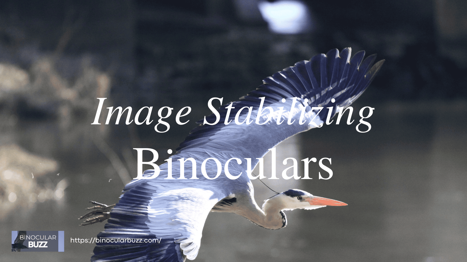 Image Stabilizing Binoculars