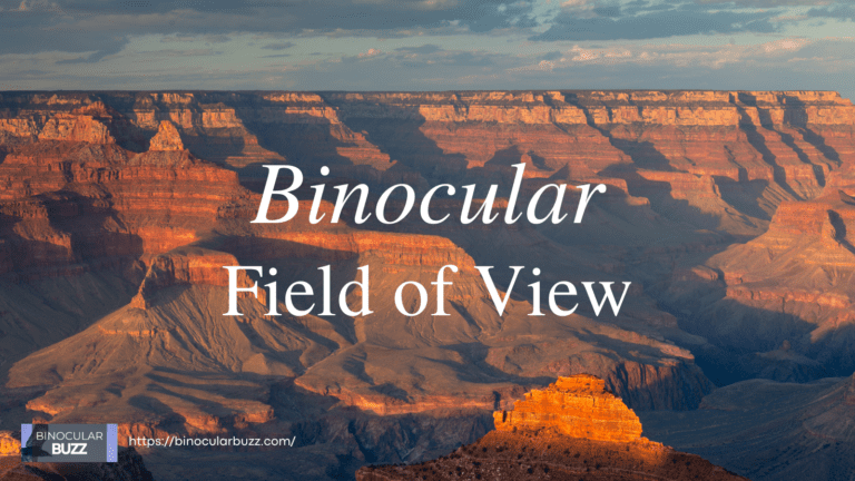Binocular Field of View: A Practical Guide [2024]