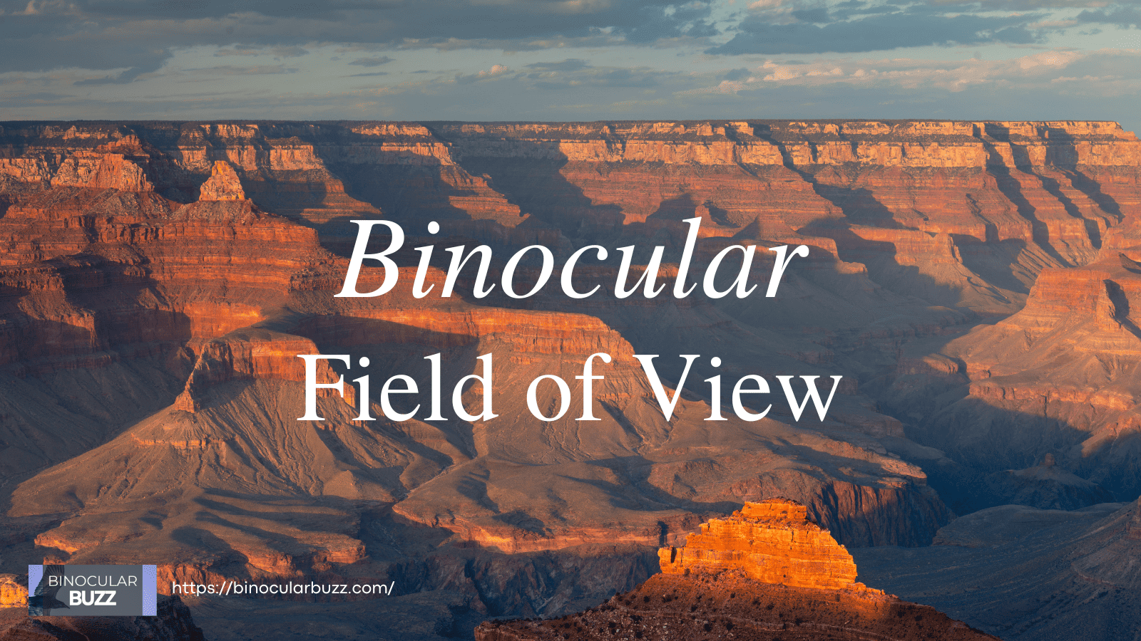 Binocular Field of View