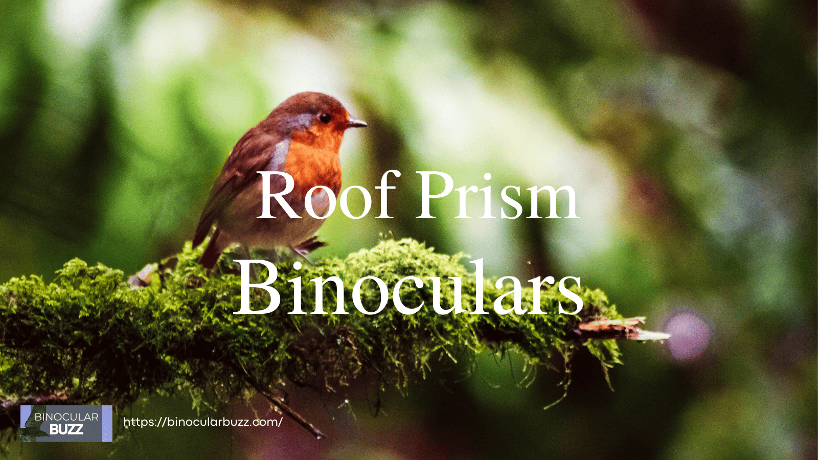 Roof Prism Binoculars