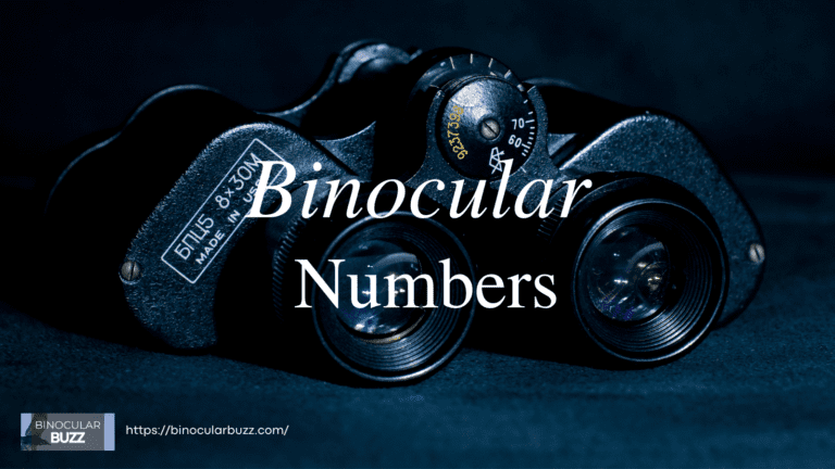 What Do Binocular Numbers Mean? Comprehensive Guide [2024]