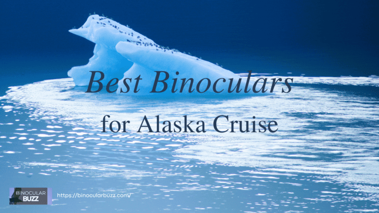 7 Best Binoculars for Alaska Cruise in 2024!