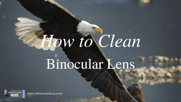 How to Clean Binocular Lens: Step-by-Step Guide [2024]