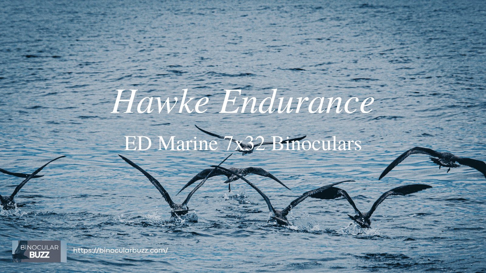 Hawke Endurance ED Marine 7x32 Binoculars Review