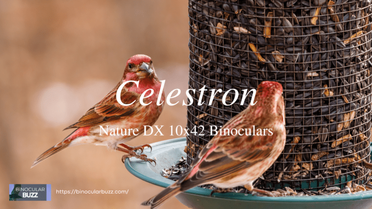 Celestron Nature DX 10×42 Binoculars Review [2024]