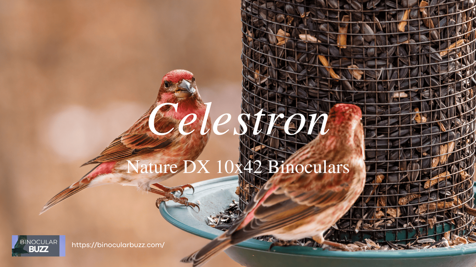 Celestron Nature DX 10x42 Binoculars Review