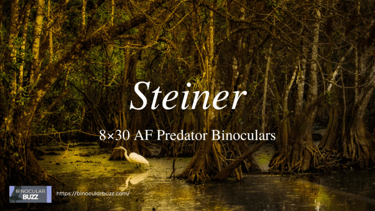 Steiner 8×30 Auto Focus Predator Binoculars Review [2024]