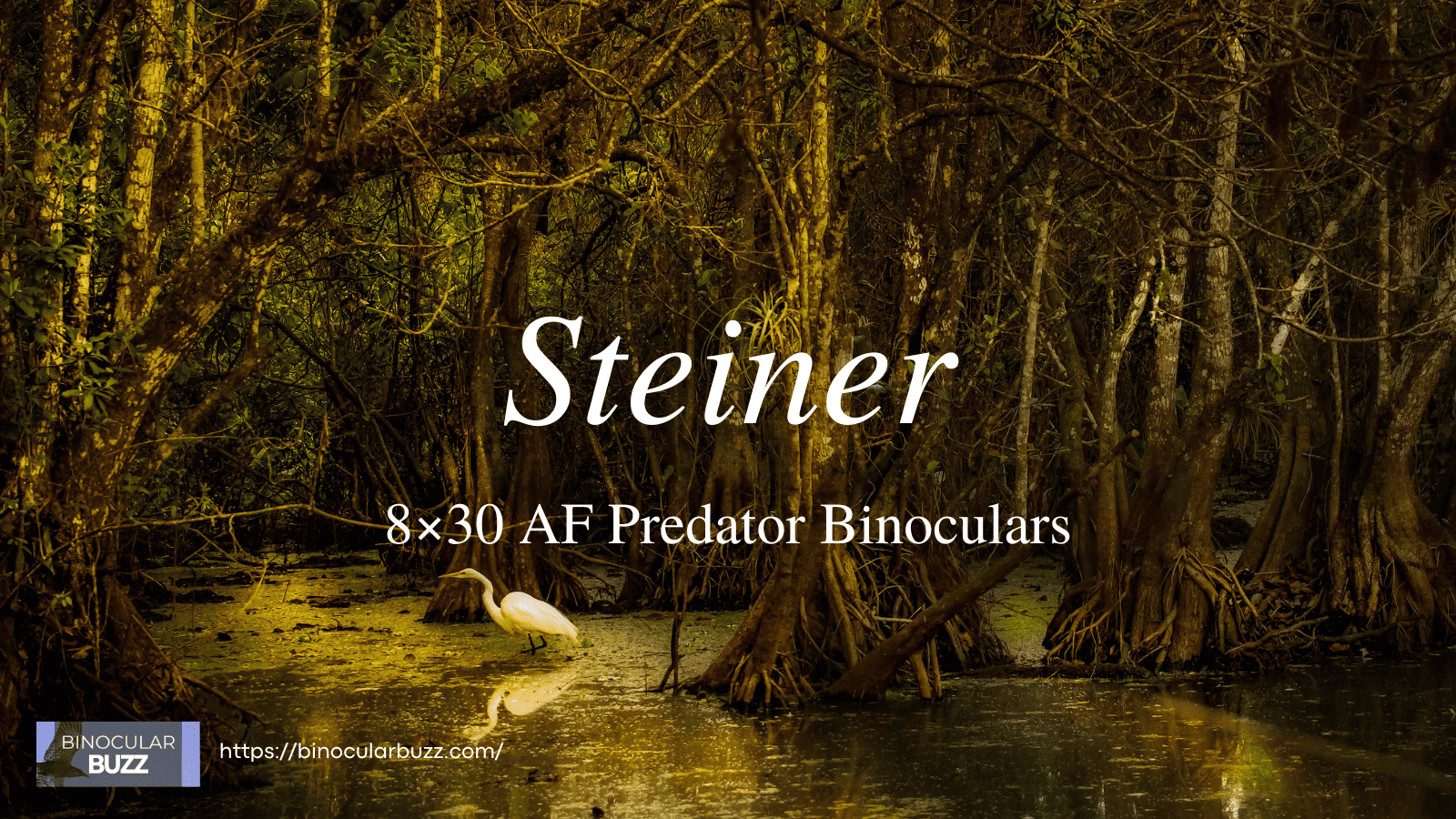Steiner 8×30 Auto Focus Predator Binoculars Review