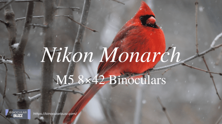 Nikon Monarch M5 8×42 Binoculars Review [2024]