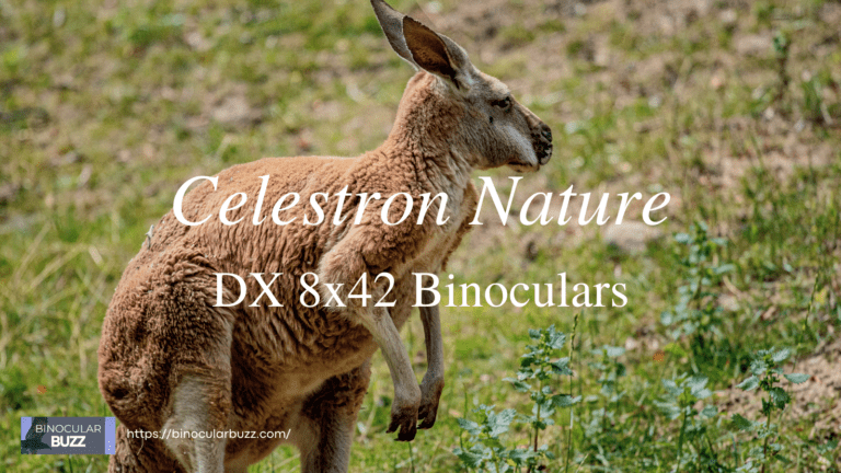 Celestron Nature DX 8×42 Binoculars Review [2024]