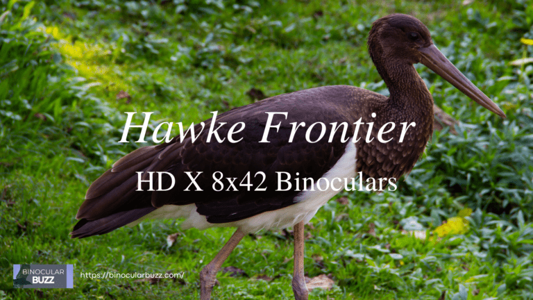 Hawke Frontier HD X 8×42 Binoculars Review [2024]