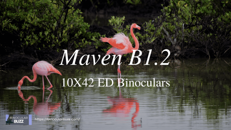 Maven B1.2 10X42 ED Binoculars Review [2024]