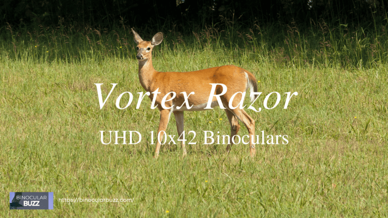 Vortex Razor UHD 10×42 Binoculars Review [2024]