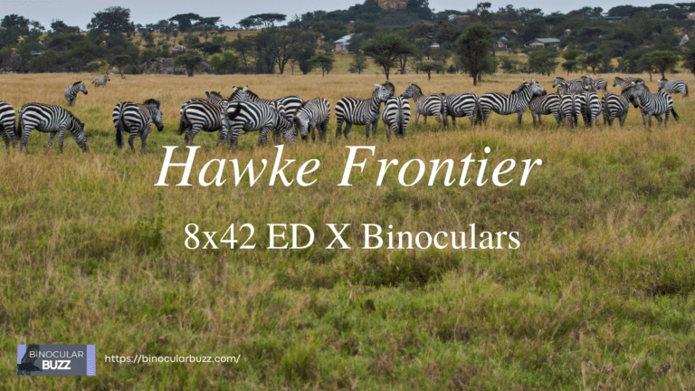 Hawke Frontier 8×42 ED X Binoculars Review [2024]
