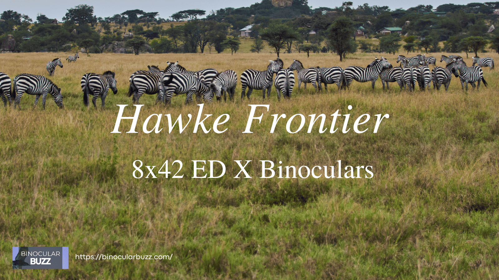 Hawke Frontier 8x42 ED X Binoculars Review