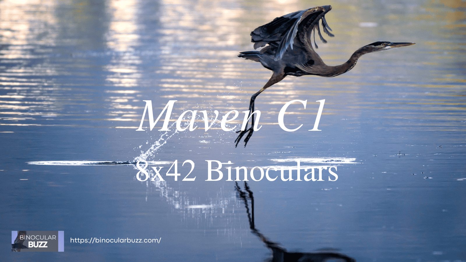 Maven C1 8X42 Binoculars Review [2024]