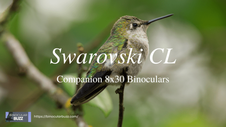 Swarovski CL Companion 8×30 Binoculars Review [2024]