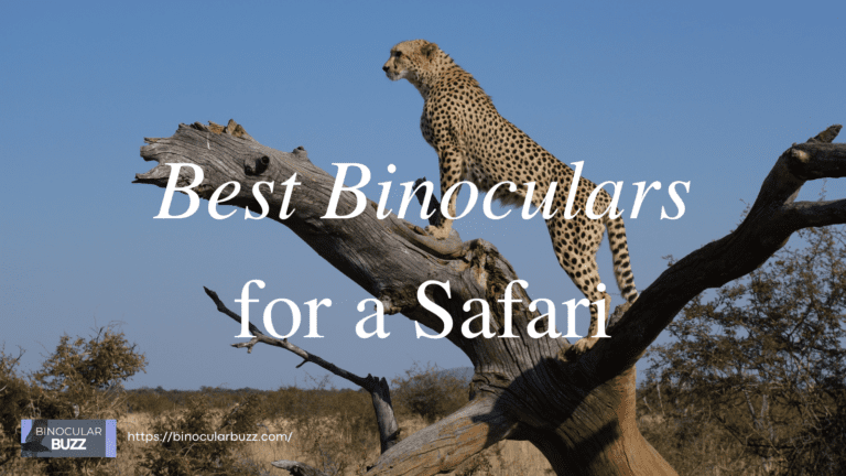7 Best Binoculars for Safari in 2024!