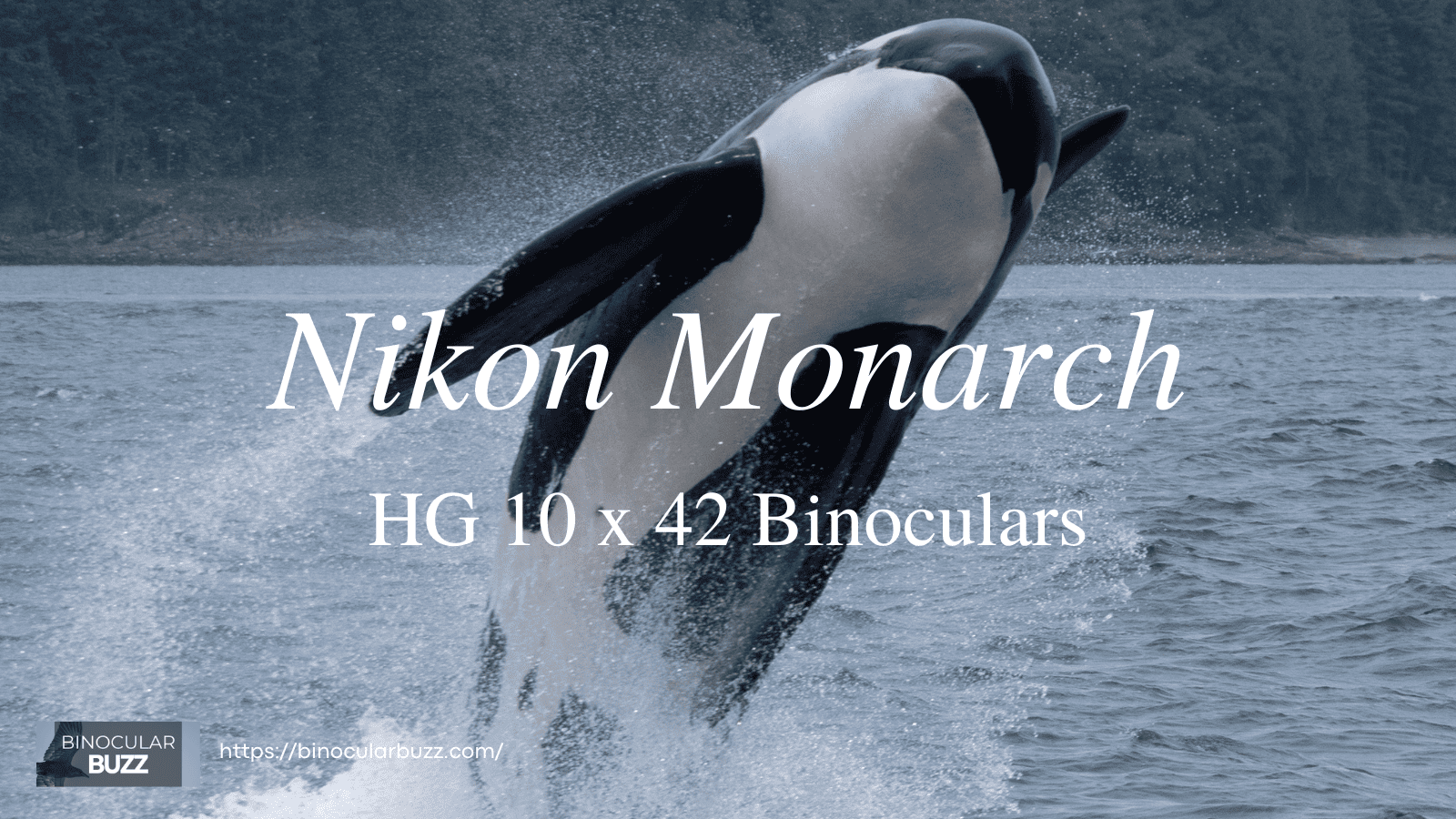 Nikon Monarch HG 10 x 42 Binoculars