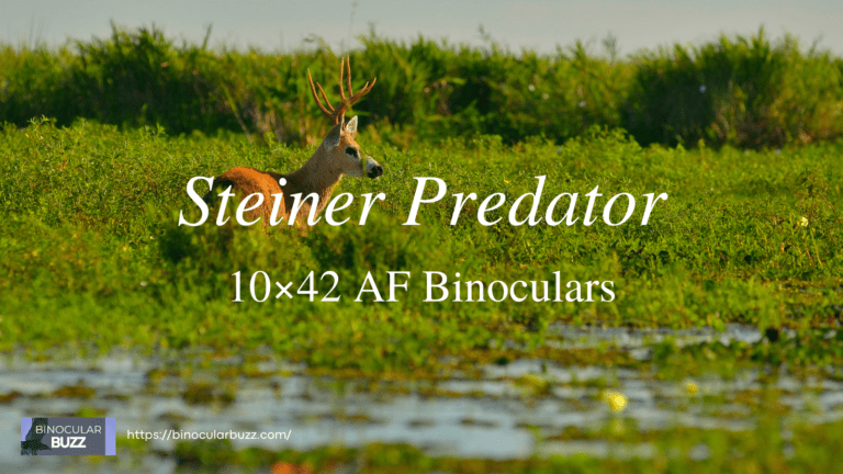 Steiner 10×42 Auto Focus Predator Binoculars Review [2024]