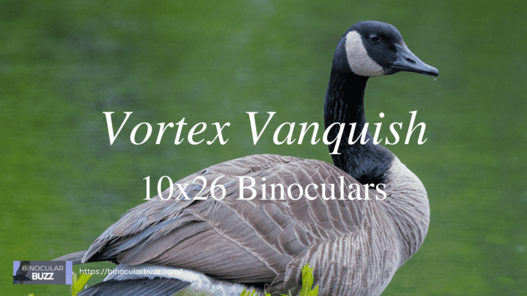 Vortex Vanquish 10×26 Binoculars Review [2024]