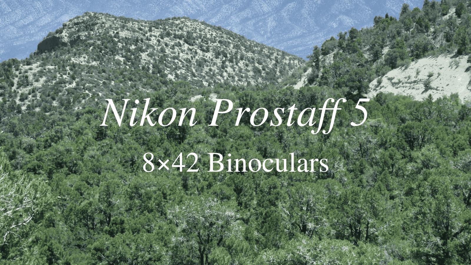 Nikon Prostaff 5 8×42 Binoculars Review [2024]