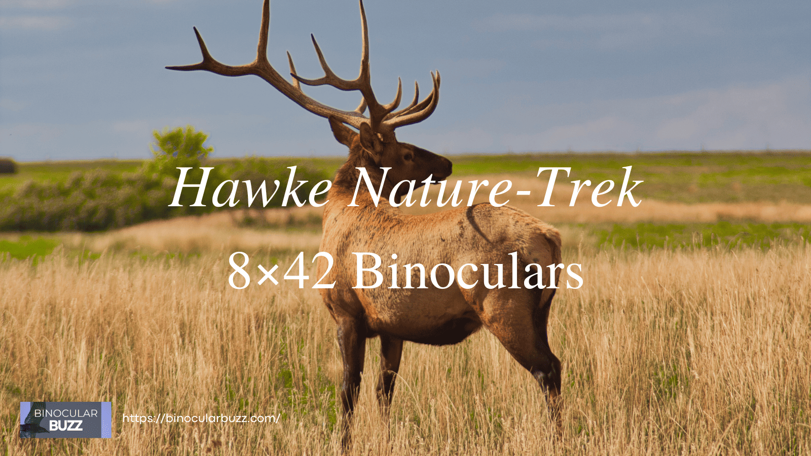 Hawke Nature-Trek 8x42 Binoculars Review [2024]