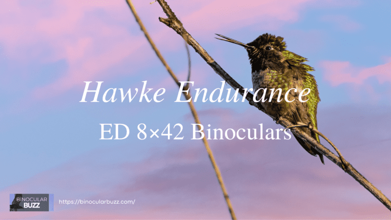 Hawke Endurance ED 8×42 Binoculars Review [2024]