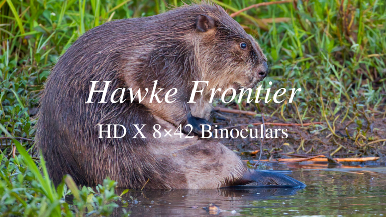 Hawke Frontier HD X 8×32 Binoculars Review [2024]