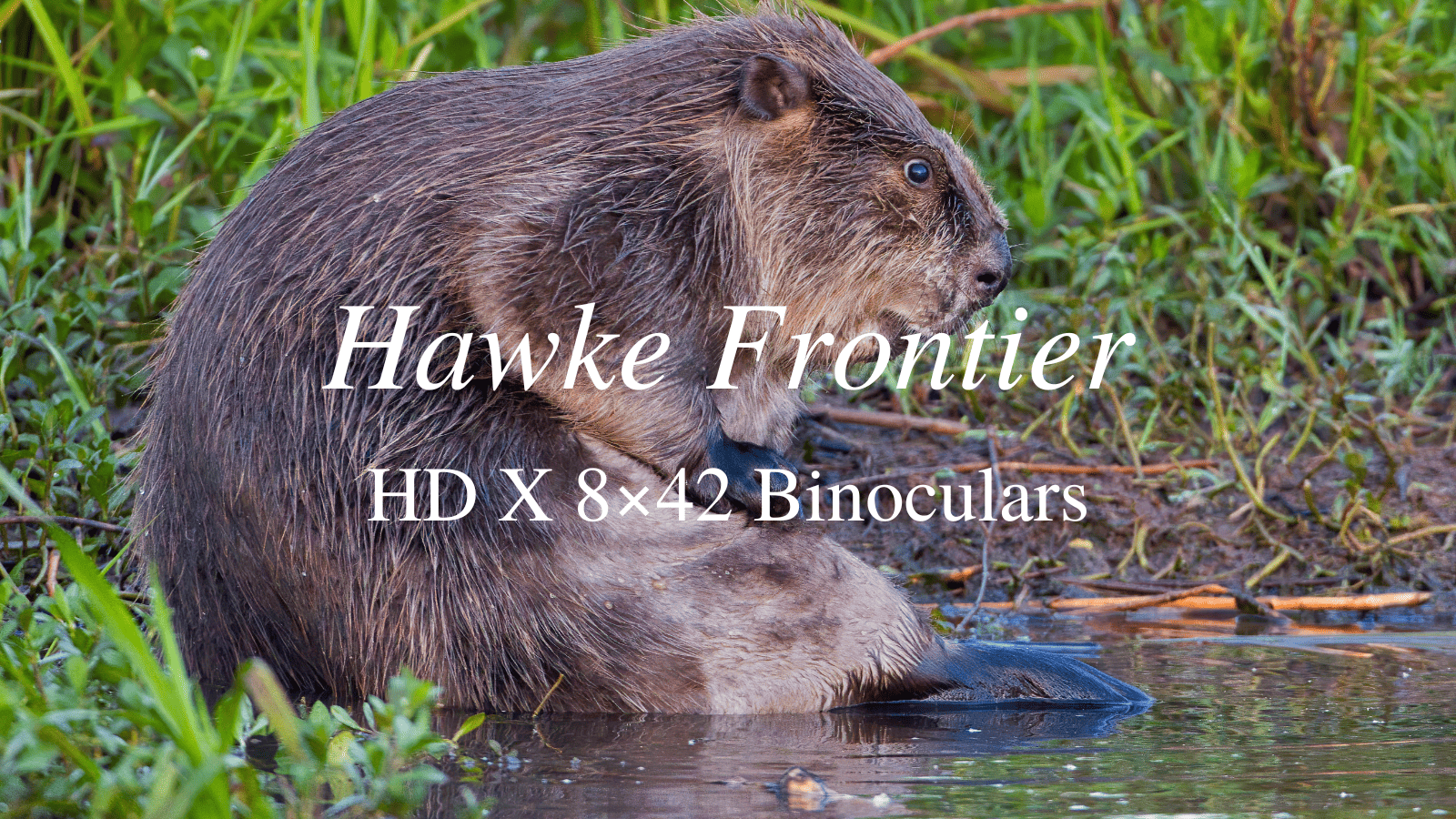 Hawke Frontier HD X 8x32 Binoculars Review