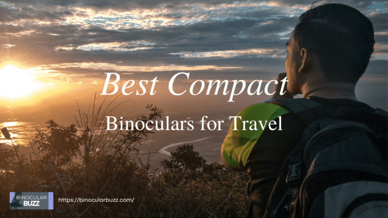 7 Best Compact Binoculars for Travel in 2024!