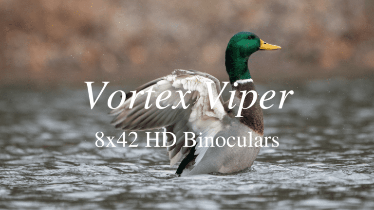 Vortex 8×42 Viper HD Binoculars Review [2024]