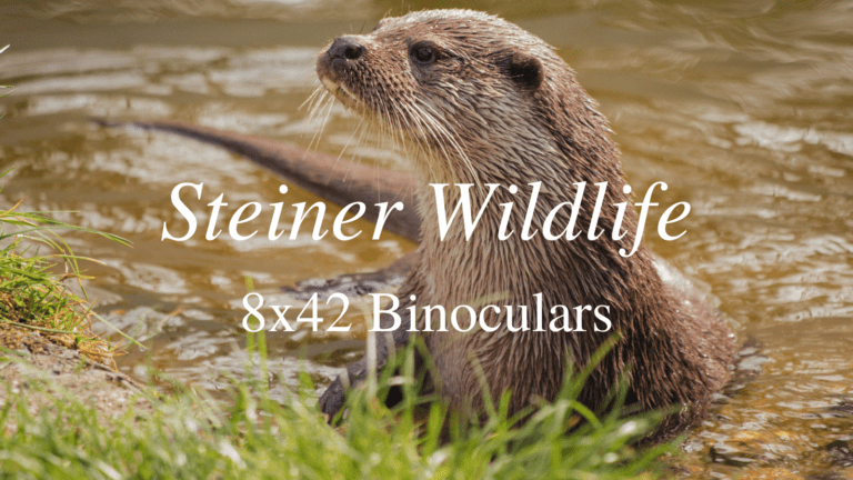 Steiner Wildlife 8×42 Binoculars Review [2024]