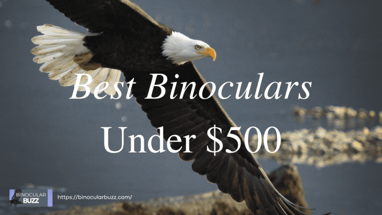 7 Best Binoculars Under $500 in 2024!