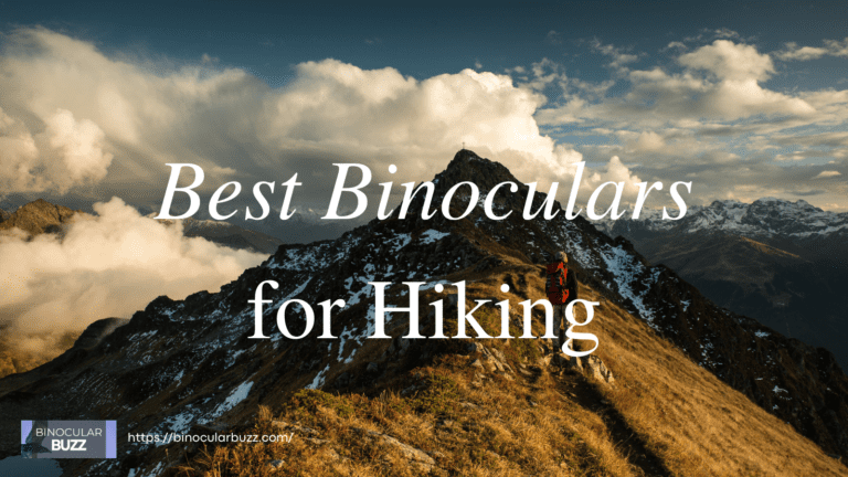 7 Best Binoculars for Hiking in 2024!