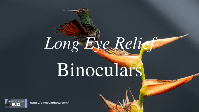 Long Eye Relief Binoculars: A Practical Guide [2024]