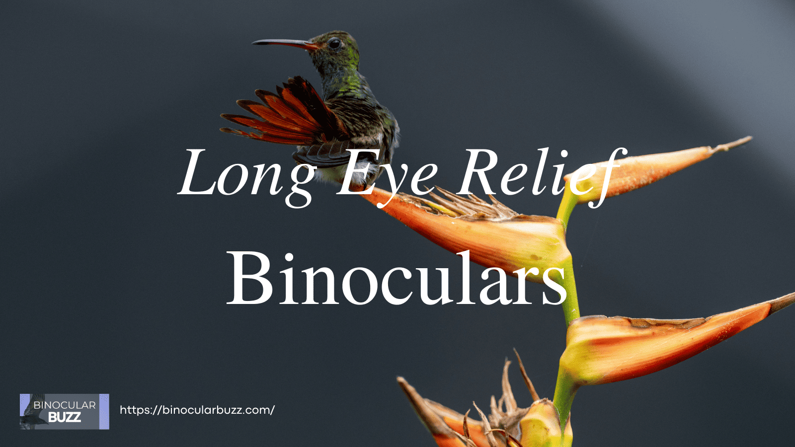Long Eye Relief Binoculars