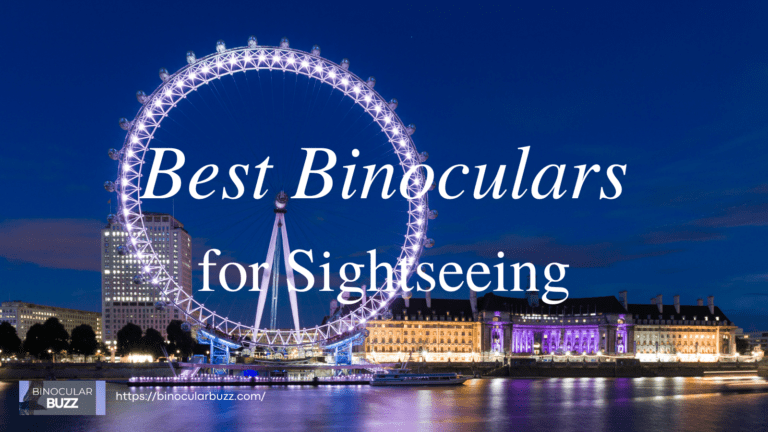 7 Best Binoculars for Sightseeing in 2024!