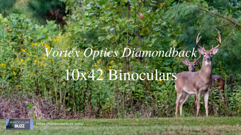 Vortex Optics Diamondback 10×42 Binoculars Review [2024]