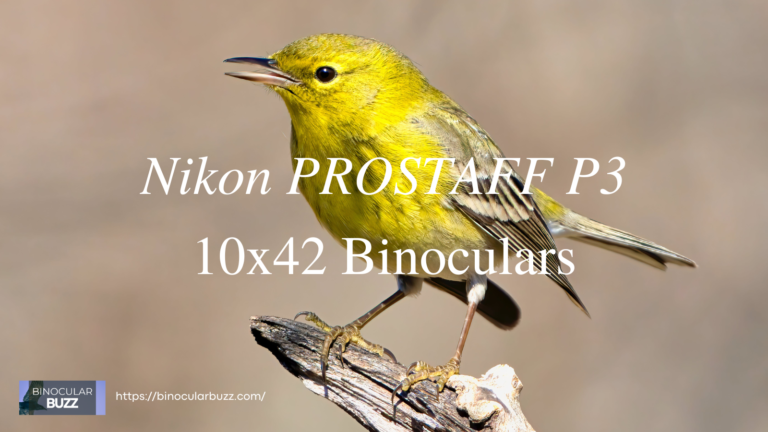 Nikon PROSTAFF P3 10×42 Binoculars Review [2024]
