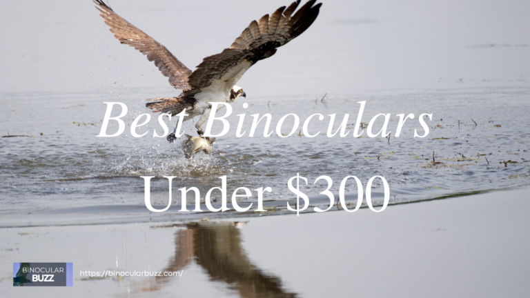 7 Best Binoculars Under $300 in 2024!