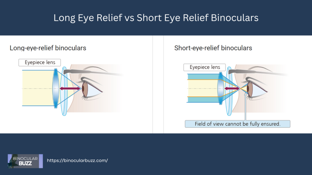Long Eye Relief vs Short Eye Relief Binoculars