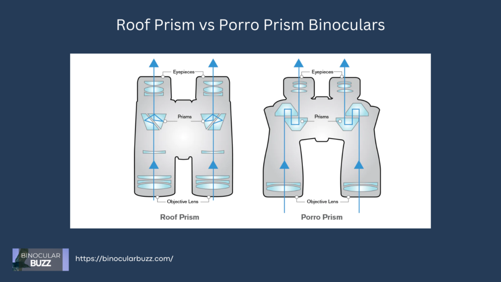 Roof Prism vs Porro Prism Binoculars