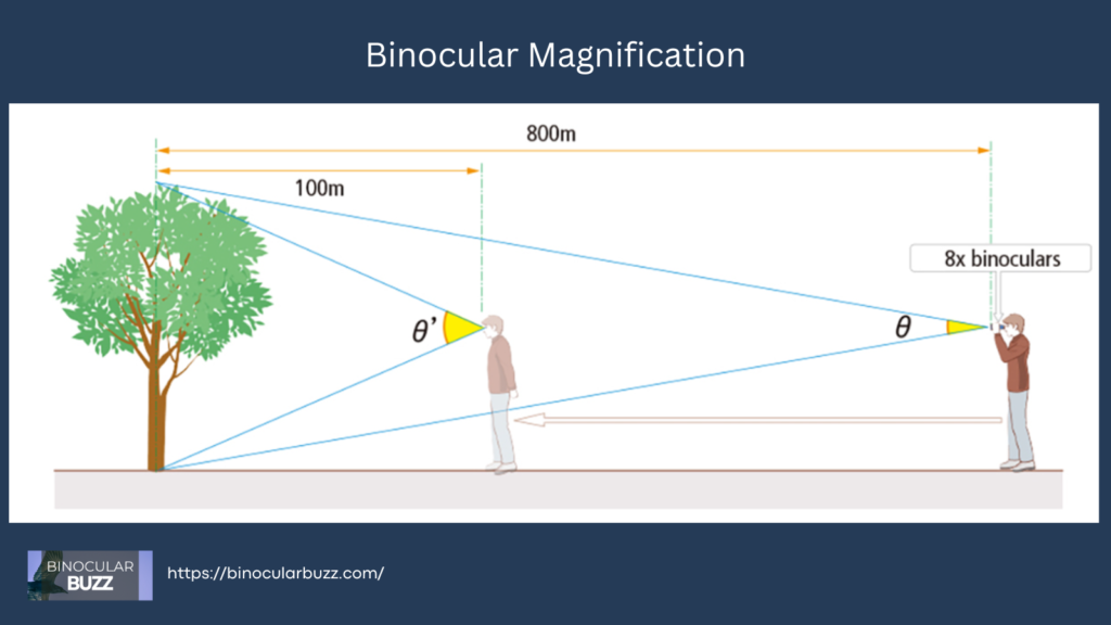 Binocular Magnification